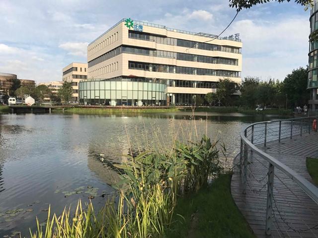 总部仅 1000 人，人均年效 208 万：泛微凭什么成了软件圈人效天花板